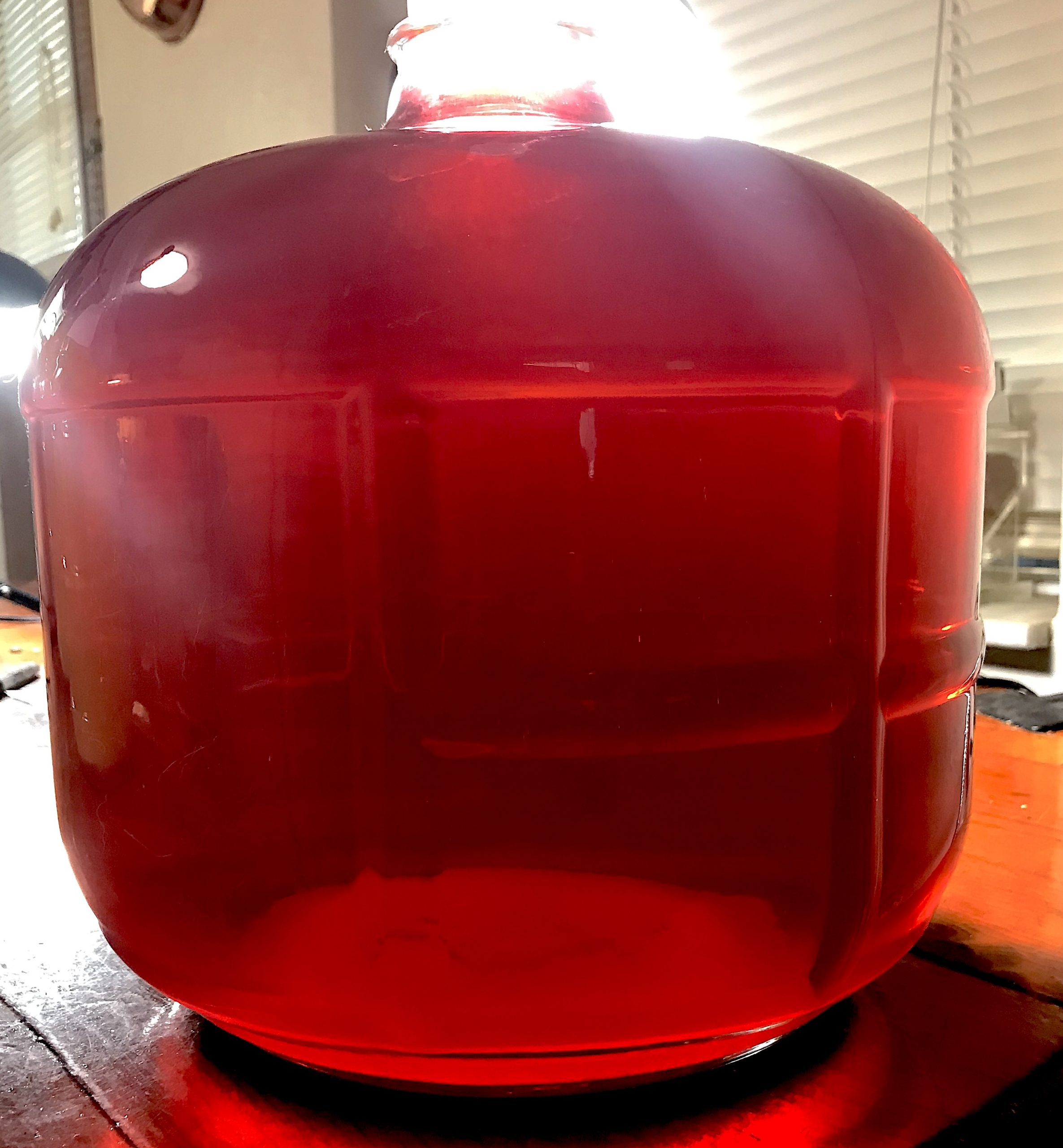 jambul IMG_3749 - Eat The Weeds and other things, too