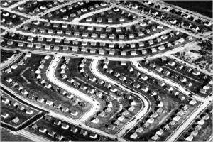 Levittown NY was the first massive subdivision and use of lawn