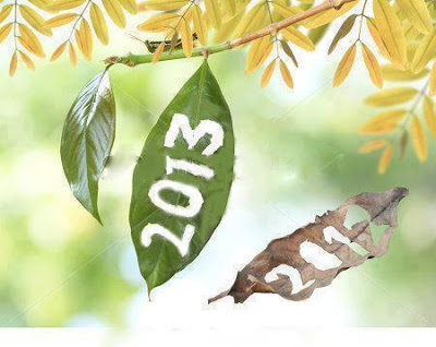 Now it is time for 2012 to make like a tree and leave. Thank you for reading this newsletter, visiting the Green Deane Forum, watching the videos, and thank you for the hundreds of wonderful students that came to my foraging classes this year. As the tree said to the sprout, keep on growing. Happy New Year. 