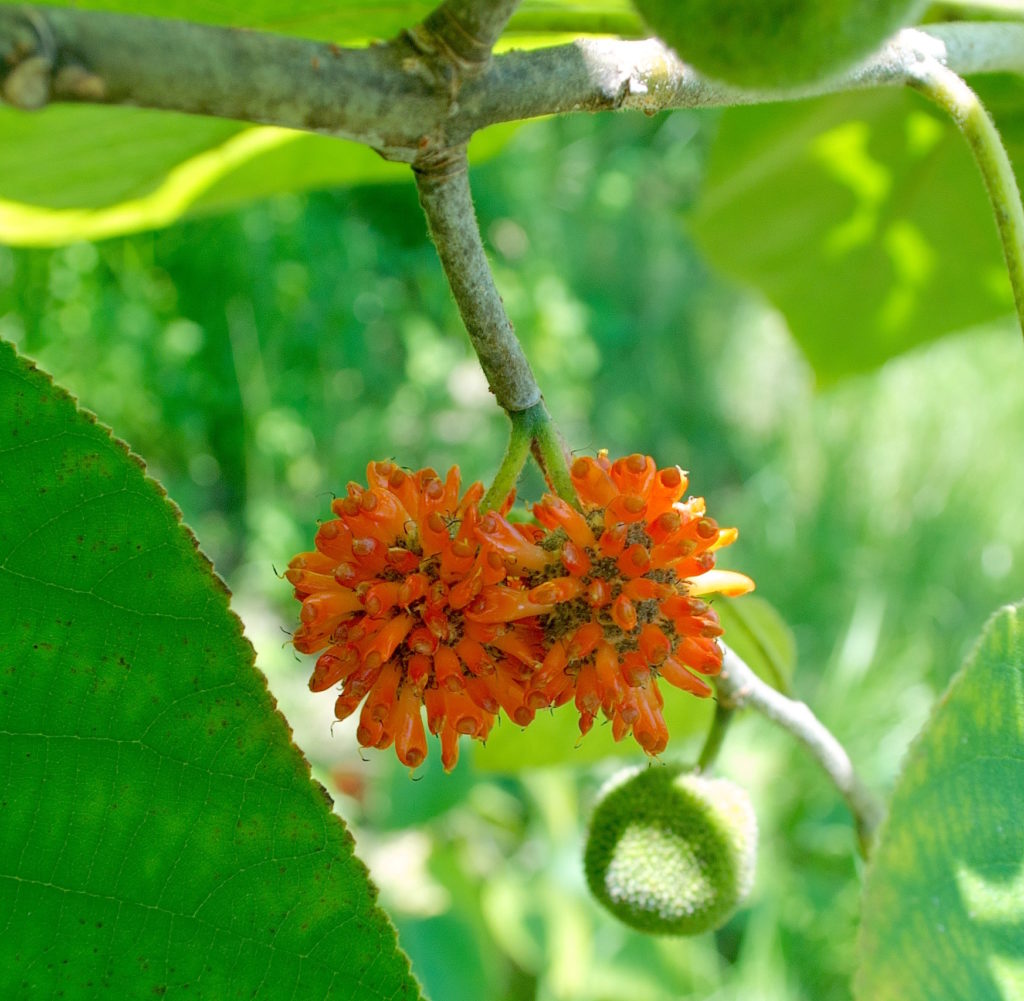 different types many size mulberry paper