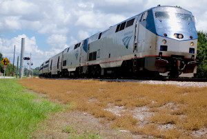 Rail right-of-ways have been treated for over a century to kill of plants. Photo by Green Deane