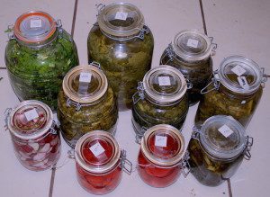 Preserving food by lacto-fermentation. Photo by Green Deane