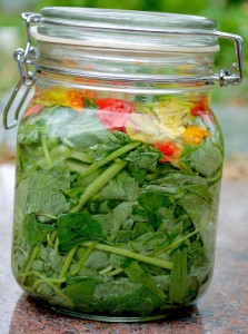 Narsturtium and scallion lacto-fermenting. Photo by Green Deane