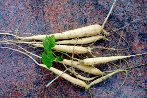 I ended up with a large box of non-edible roots. Photo by Green Deane
