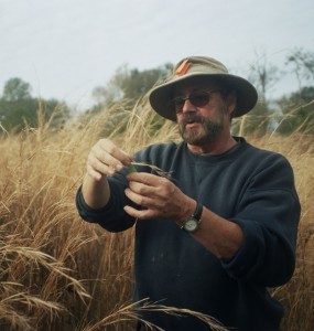 Green Deane teaching at Earthskills 2013