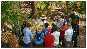 Teaching a foraging class in Port Orange. Photo by Dan Dowling. 