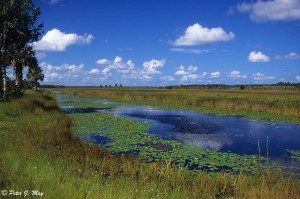 Lake Woodruff National Wildlife Refuge, photo by Stetson University