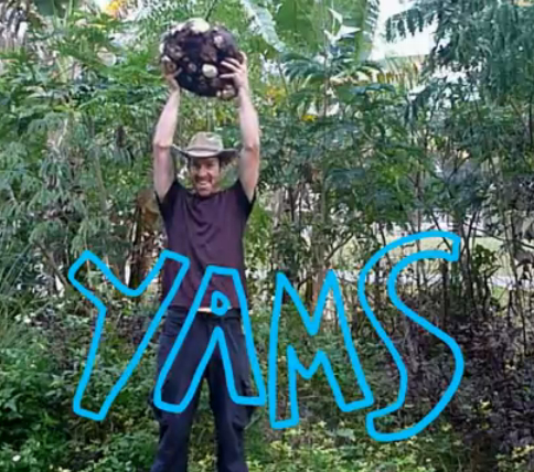 My friend Maribou and his 31-pound yam. 