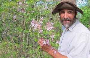 Mycol Stevens will be leading classes at the Florida Herbal Conference this year. 