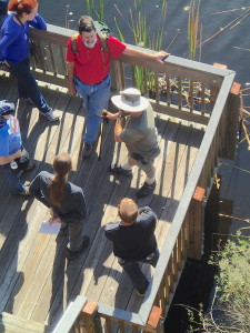 Teaching a foraging class in New Port Richey.