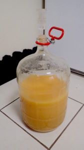 Pindo palm wort new into the secondary fermenter. Photo by Green Deane