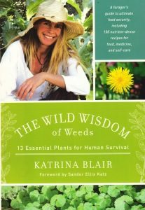 The Wild Wisdom of Weeds by Katrina Blair.