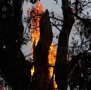 article-2087394-0F7DD90300000578-738_634x429