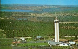 Beyond Citrus Tower in Clermont, FL, one can see the frost/freeze damage.