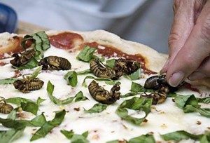 Cicadas Pizza