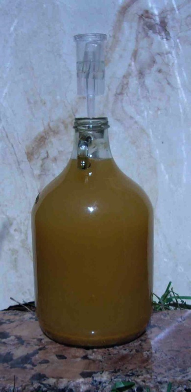 Anyone know where to find huge wide mouth glass jars like this one? Looks  like 4-5 gallons at least. : r/Kombucha