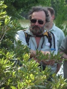 Green Deane Green Deane