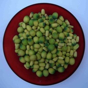 Uncooked young lotus seeds. Photo by Green Deane. 