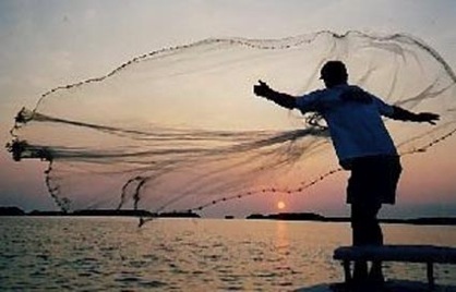 Cast Nets: Throwing Your Weights Around - Eat The Weeds and other