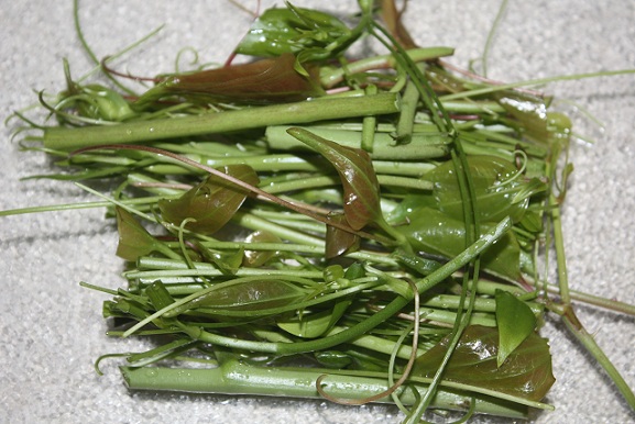 Smilax ready for cooking. Photo by Dewayne Allday