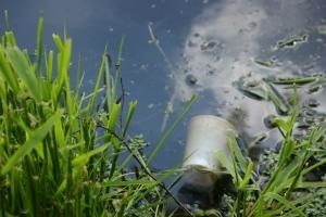 Polluted water can be harder to detect. 