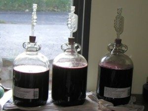Elderberry wine by Stoneheadcroff.