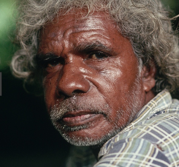 Aboriginal Eat The Weeds And Other Things Too