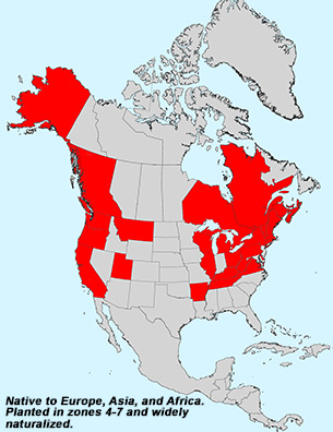 map - Eat The Weeds and other things, too